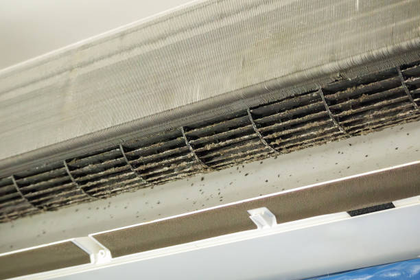 Best Residential Air Duct Cleaning  in Stedman, NC