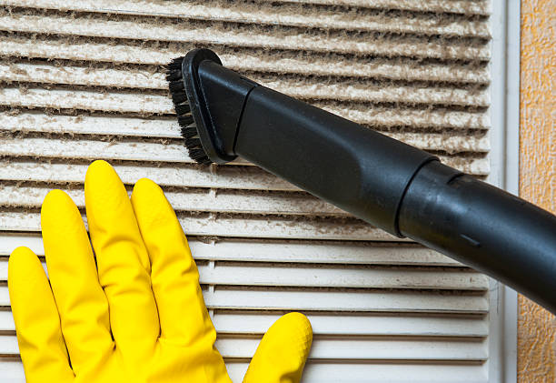 Best Local Air Duct Cleaning Services  in Stedman, NC